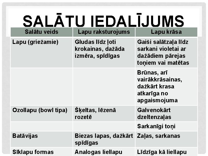 SALĀTU IEDALĪJUMS Salātu veids Lapu (griežamie) Lapu raksturojums Gludas līdz ļoti krokainas, dažāda izmēra,