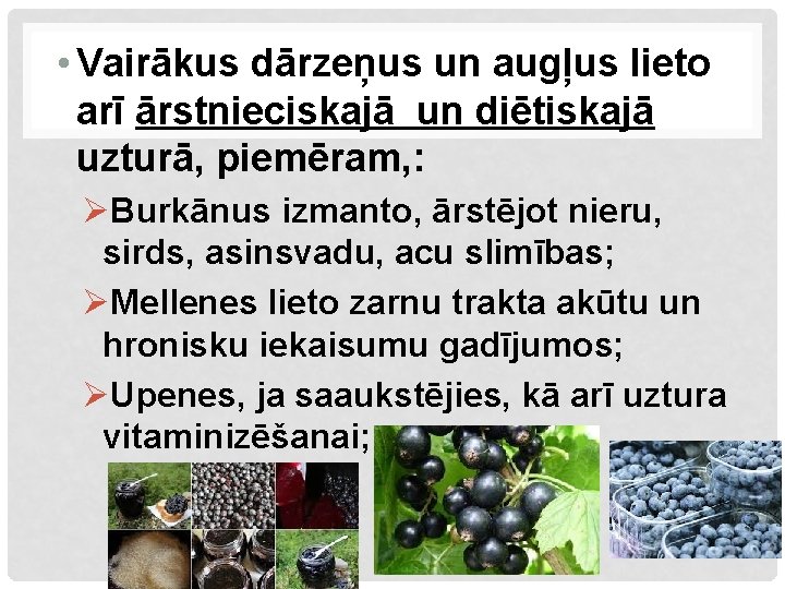  • Vairākus dārzeņus un augļus lieto arī ārstnieciskajā un diētiskajā uzturā, piemēram, :