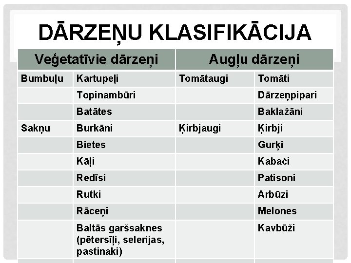 DĀRZEŅU KLASIFIKĀCIJA Veģetatīvie dārzeņi Bumbuļu Sakņu Kartupeļi Augļu dārzeņi Tomātaugi Tomāti Topinambūri Dārzeņpipari Batātes