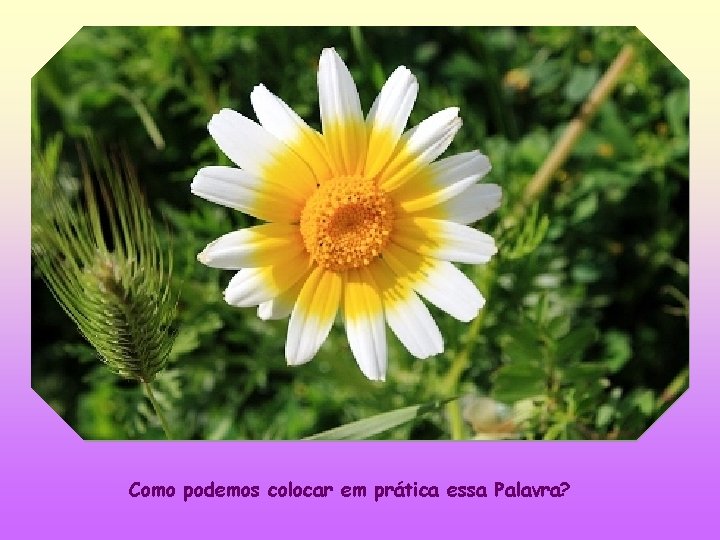 Como podemos colocar em prática essa Palavra? 