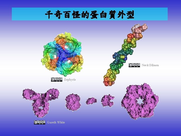 千奇百怪的蛋白質外型 Nevit Dilmen Zephyris Gareth White 