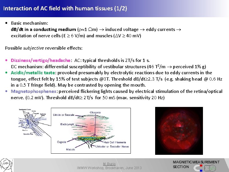Interaction of AC field with human tissues (1/2) • Basic mechanism: d. B/dt in