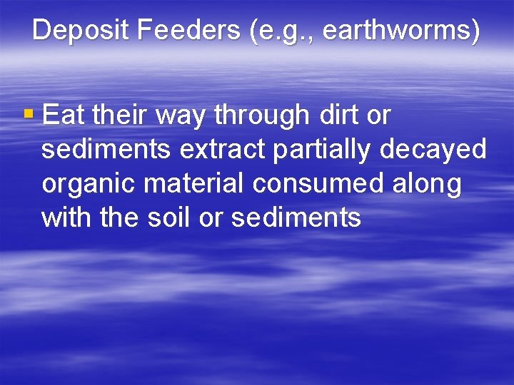 Deposit Feeders (e. g. , earthworms) § Eat their way through dirt or sediments