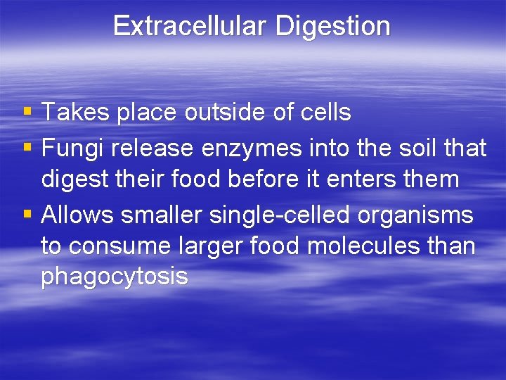 Extracellular Digestion § Takes place outside of cells § Fungi release enzymes into the