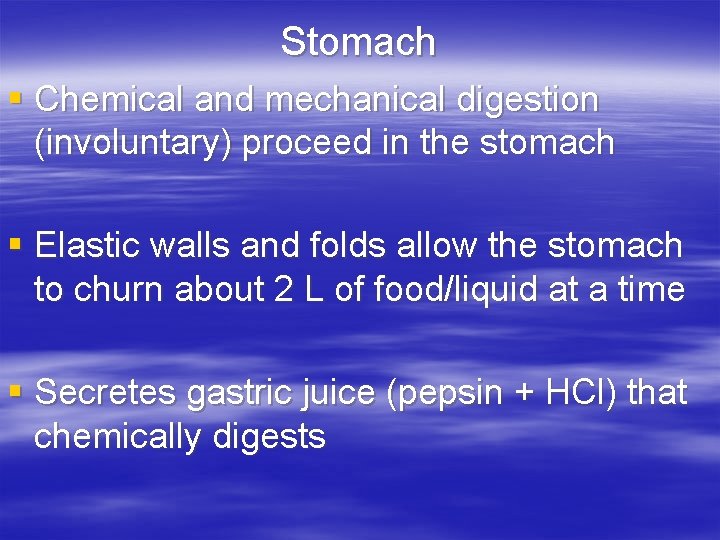 Stomach § Chemical and mechanical digestion (involuntary) proceed in the stomach § Elastic walls