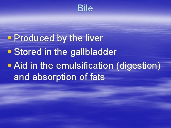 Bile § Produced by the liver § Stored in the gallbladder § Aid in