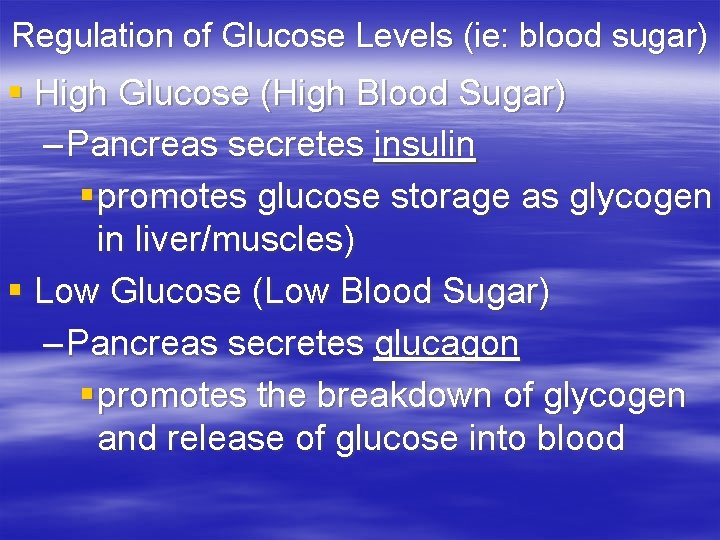 Regulation of Glucose Levels (ie: blood sugar) § High Glucose (High Blood Sugar) –