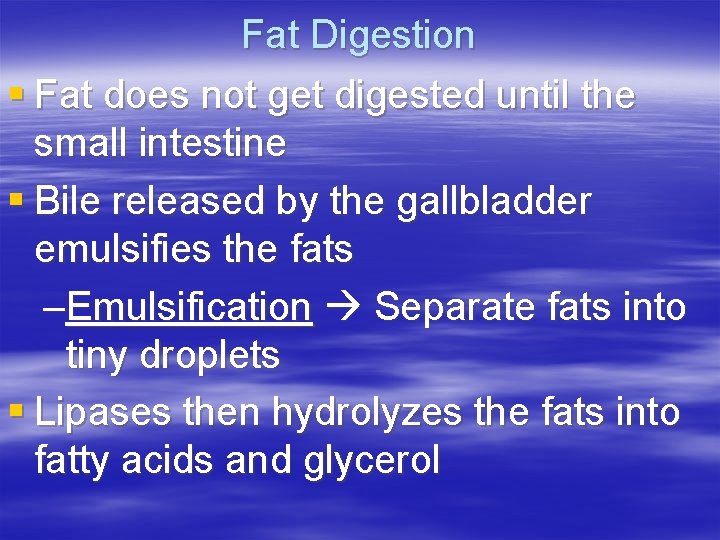 Fat Digestion § Fat does not get digested until the small intestine § Bile