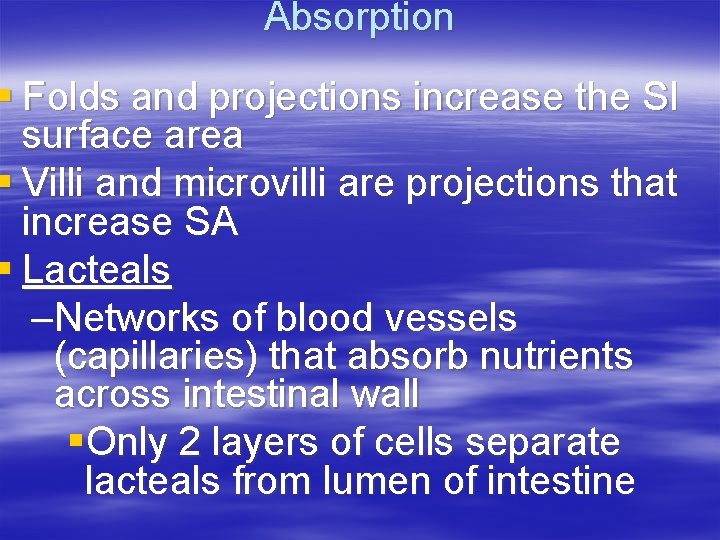 Absorption § Folds and projections increase the SI surface area § Villi and microvilli