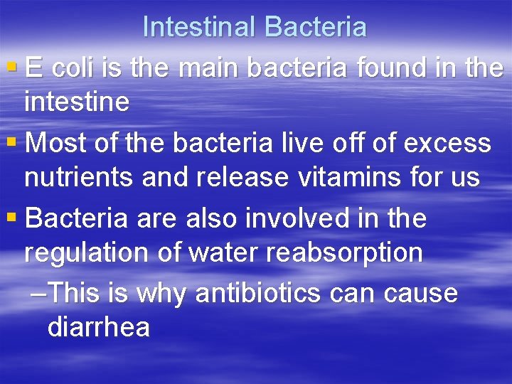 Intestinal Bacteria § E coli is the main bacteria found in the intestine §