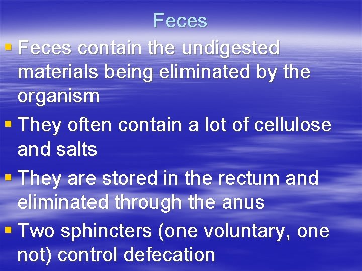 Feces § Feces contain the undigested materials being eliminated by the organism § They