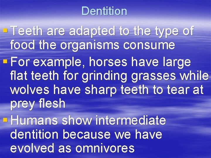 Dentition § Teeth are adapted to the type of food the organisms consume §