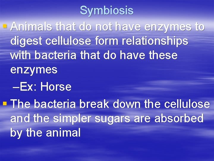 Symbiosis § Animals that do not have enzymes to digest cellulose form relationships with