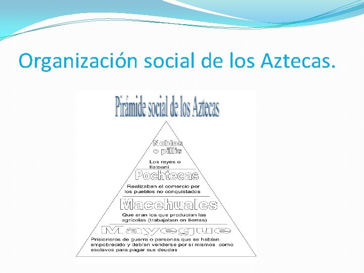 Organización social de los Aztecas. 
