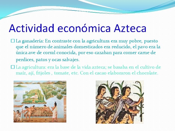 Actividad económica Azteca � La ganadería: En contraste con la agricultura era muy pobre,