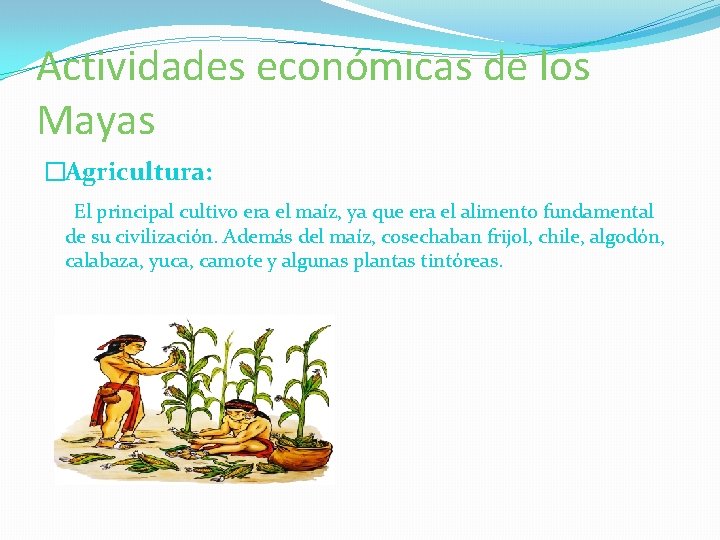 Actividades económicas de los Mayas �Agricultura: El principal cultivo era el maíz, ya que