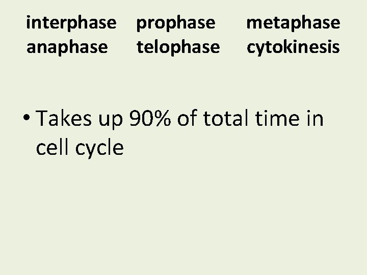 interphase prophase anaphase telophase metaphase cytokinesis • Takes up 90% of total time in