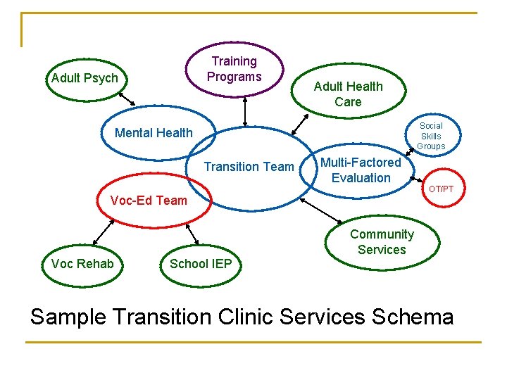 Training Programs Adult Psych Adult Health Care Social Skills Groups Mental Health Transition Team