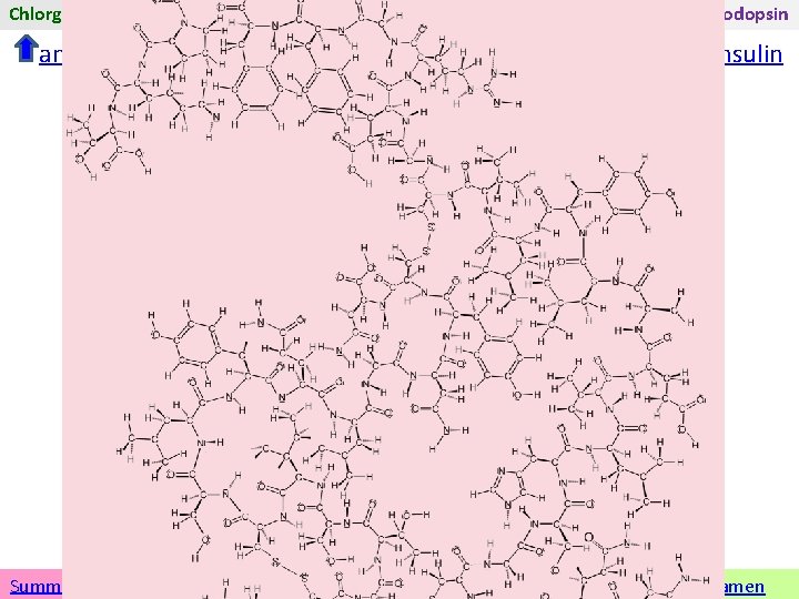 Chlorgas Methan Soda tert-Butylether anderen Stoff wählen Adrenalin Folsäure Insulin Rhodopsin Insulin Übersicht zu
