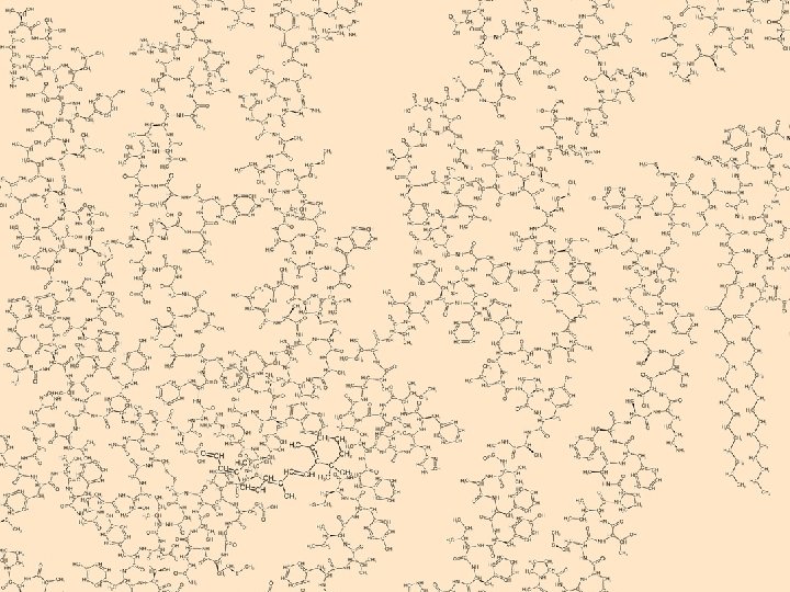 Chlorgas Methan Soda tert-Butylether anderen Stoff wählen Adrenalin Folsäure Insulin Rhodopsin Übersicht zu Rhodopsin