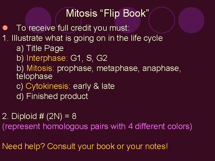 Mitosis “Flip Book” l To receive full credit you must: 1. Illustrate what is