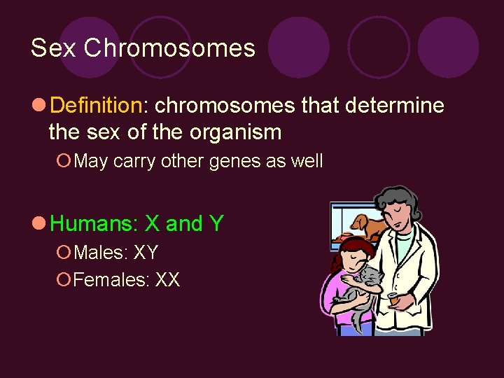 Sex Chromosomes l Definition: chromosomes that determine the sex of the organism ¡May carry