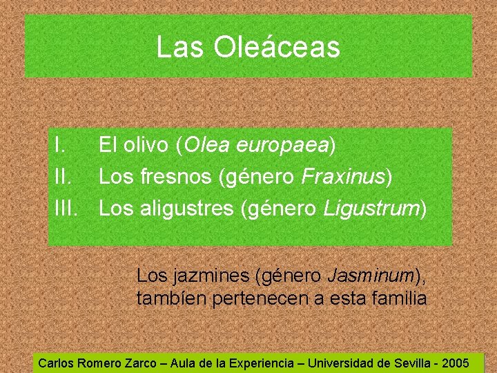 Las Oleáceas I. El olivo (Olea europaea) II. Los fresnos (género Fraxinus) III. Los