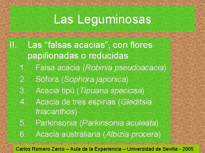 Las Leguminosas II. Las “falsas acacias”, con flores papilionadas o reducidas 1. 2. 3.