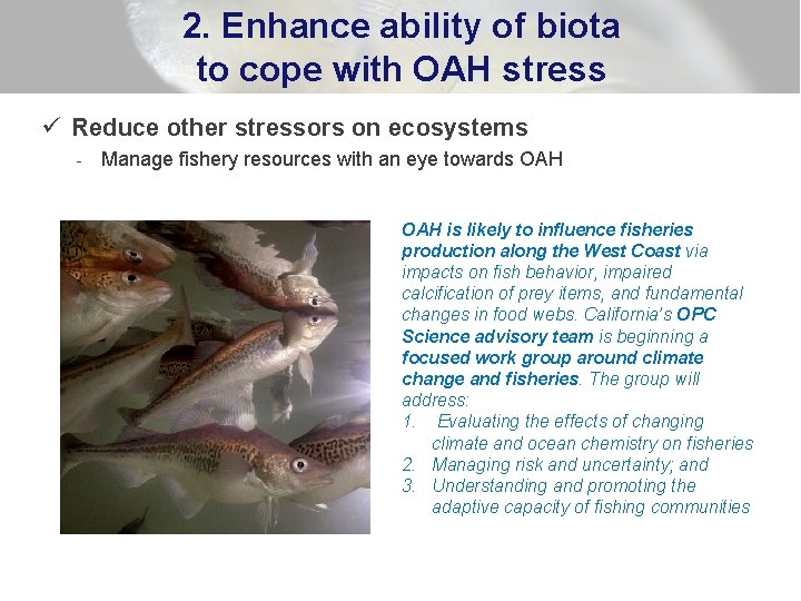 2. Enhance ability of biota to cope with OAH stress ü Reduce other stressors
