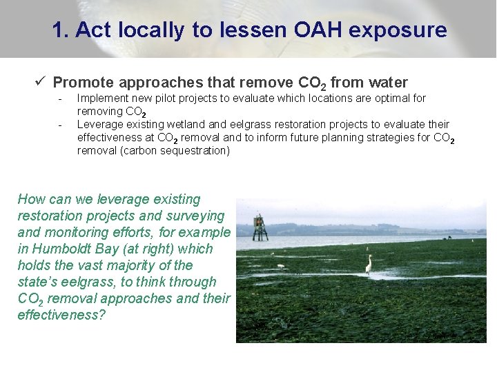 1. Act locally to lessen OAH exposure ü Promote approaches that remove CO 2