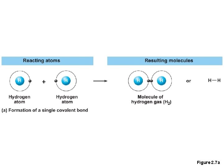 Figure 2. 7 a 