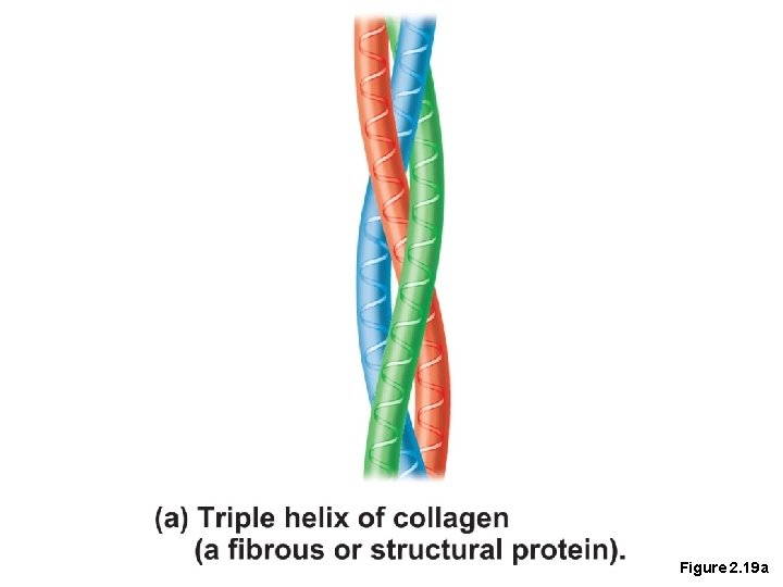 Figure 2. 19 a 