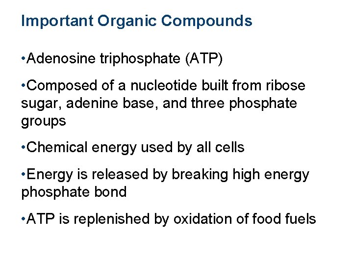 Important Organic Compounds • Adenosine triphosphate (ATP) • Composed of a nucleotide built from
