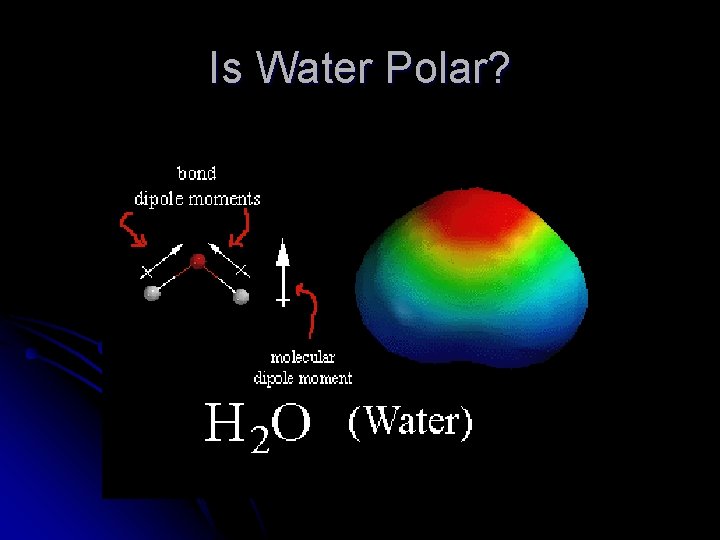 Is Water Polar? 