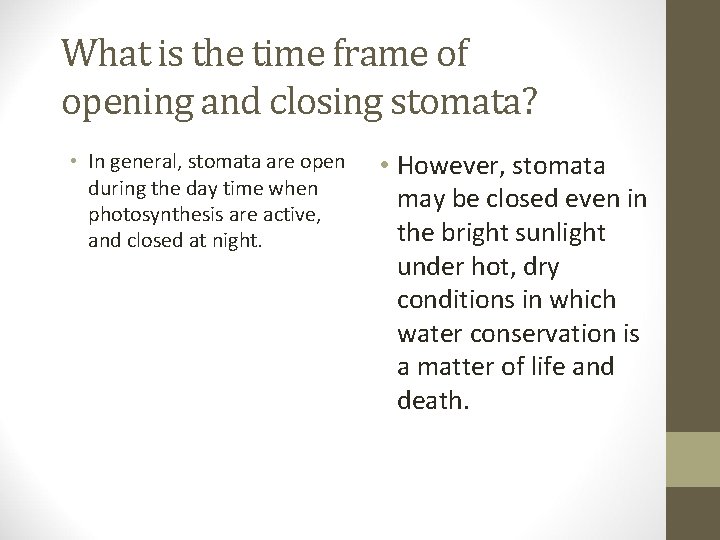 What is the time frame of opening and closing stomata? • In general, stomata