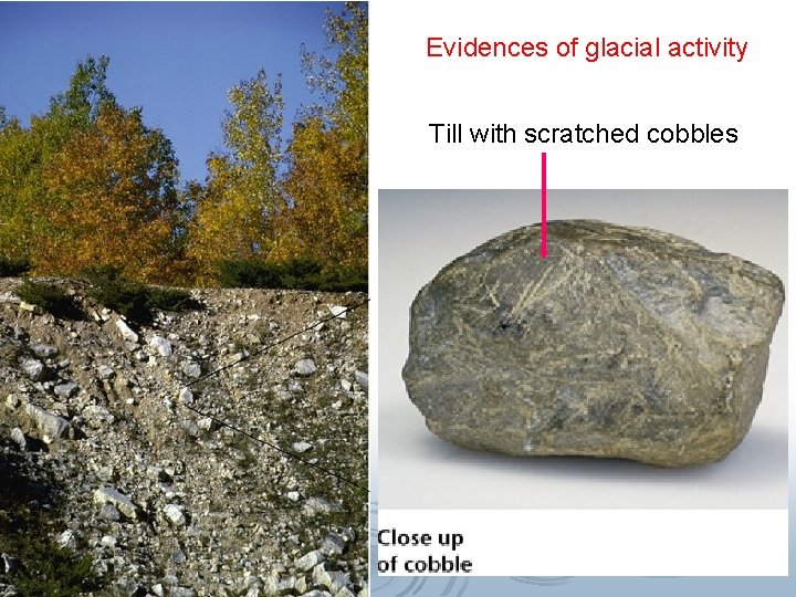 Evidences of glacial activity Till with scratched cobbles 