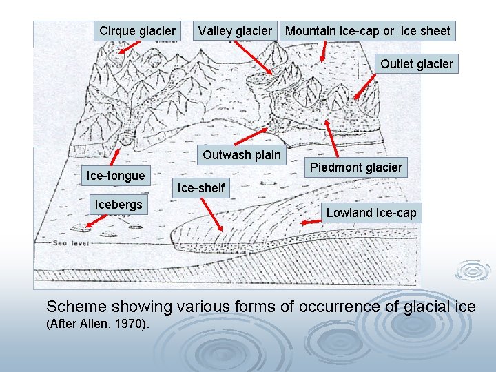 Cirque glacier Valley glacier Mountain ice-cap or ice sheet Outlet glacier Outwash plain Ice-tongue