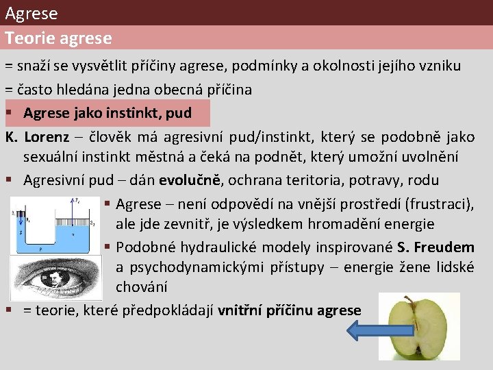 Agrese Teorie agrese = snaží se vysvětlit příčiny agrese, podmínky a okolnosti jejího vzniku