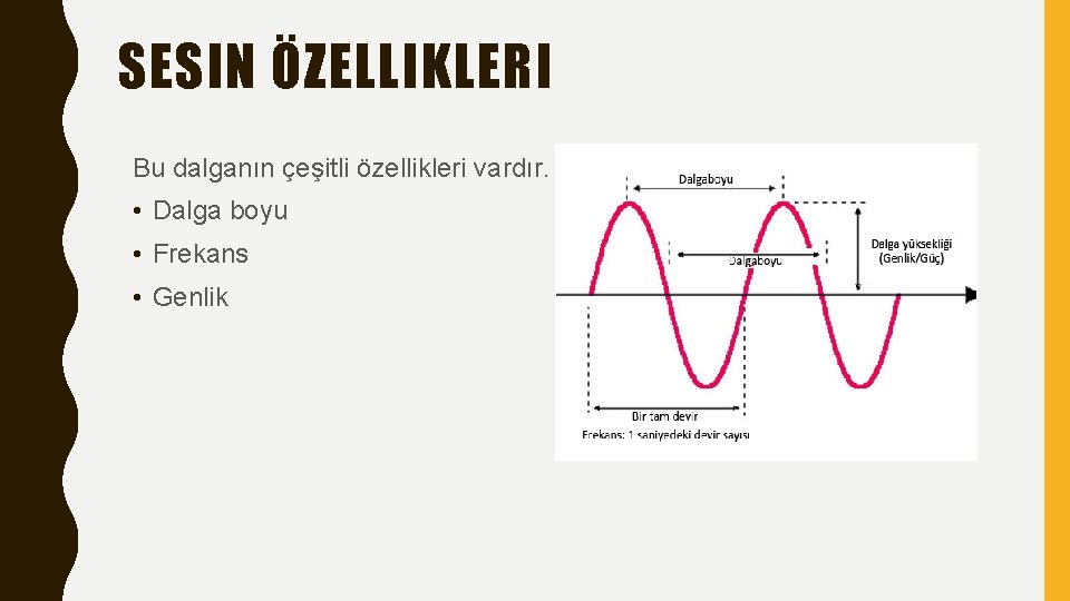 SESIN ÖZELLIKLERI Bu dalganın çeşitli özellikleri vardır. • Dalga boyu • Frekans • Genlik