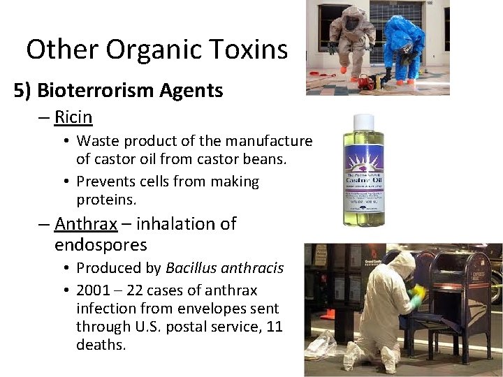 Other Organic Toxins 5) Bioterrorism Agents – Ricin • Waste product of the manufacture