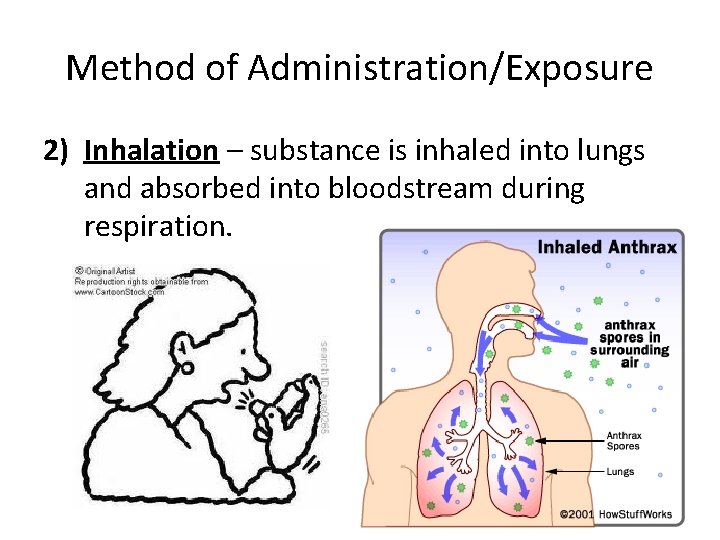 Method of Administration/Exposure 2) Inhalation – substance is inhaled into lungs and absorbed into