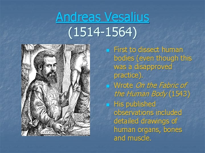 Andreas Vesalius (1514 -1564) n n n First to dissect human bodies (even though