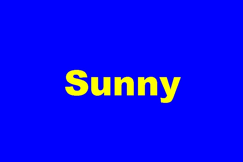 Sunny 