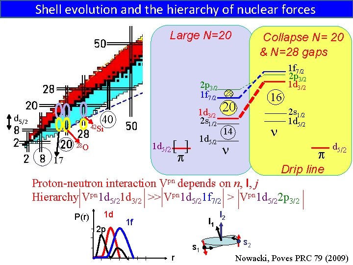 Shell evolution and the hierarchy of nuclear forces Large N=20 2 p 3/2 1