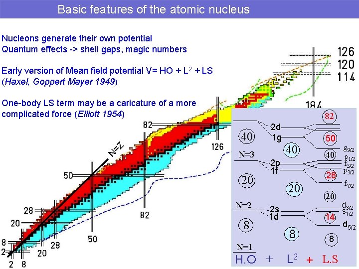 Basic features of the atomic nucleus Nucleons generate their own potential Quantum effects ->