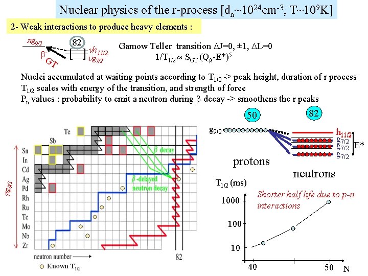 Nuclear physics of the r-process [dn~1024 cm-3, T~109 K] 2 - Weak interactions to