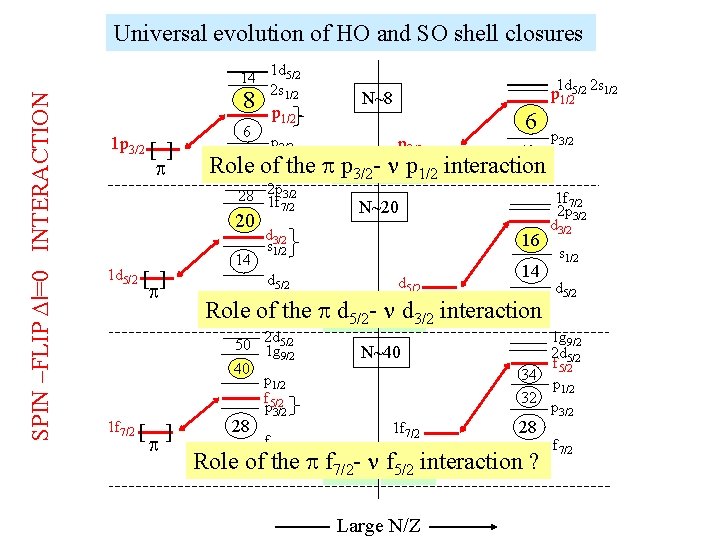 SPIN –FLIP Dl=0 INTERACTION Universal evolution of HO and SO shell closures 14 1