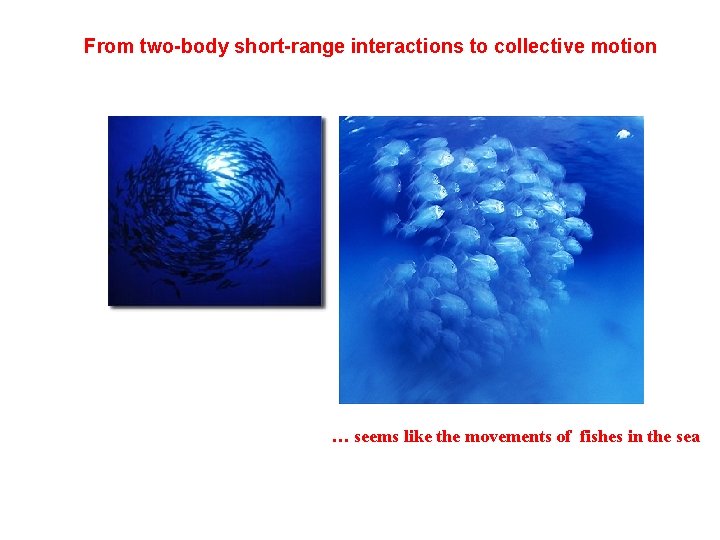 From two-body short-range interactions to collective motion … seems like the movements of fishes