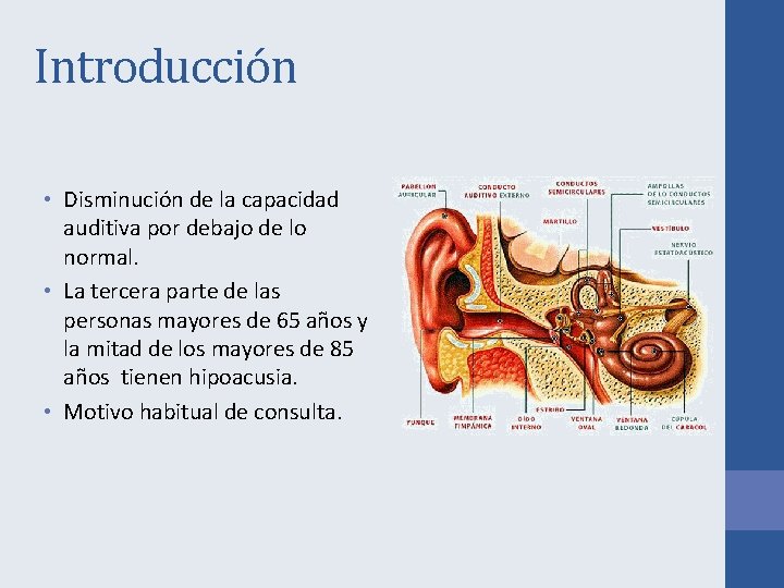 Introducción • Disminución de la capacidad auditiva por debajo de lo normal. • La