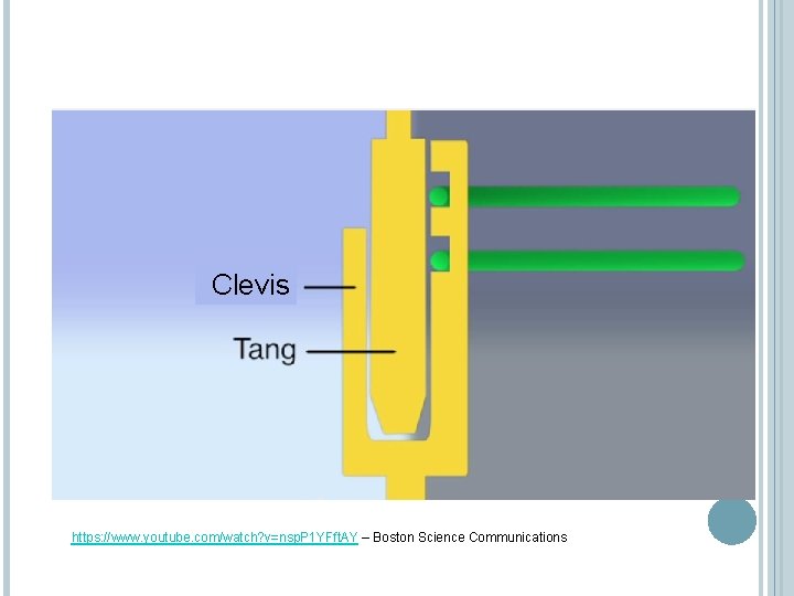 Clevis https: //www. youtube. com/watch? v=nsp. P 1 YFft. AY – Boston Science Communications